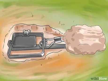 Поймать койота Шаг 10