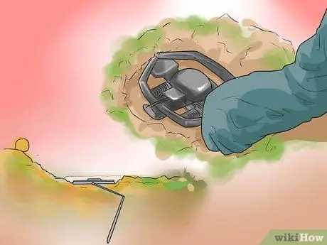 Поймать койота Шаг 11