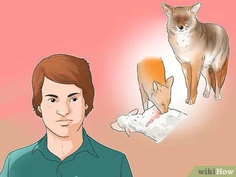 Поймать койота Шаг 2