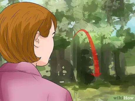 Поймать койота Шаг 5