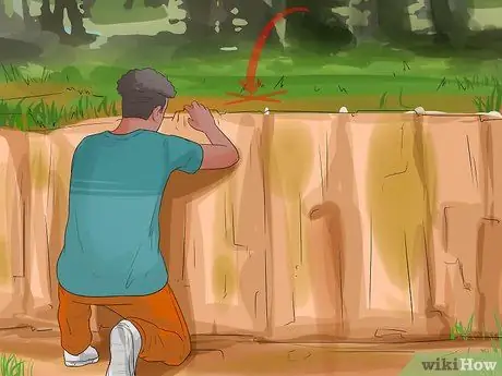 Поймать койота Шаг 6