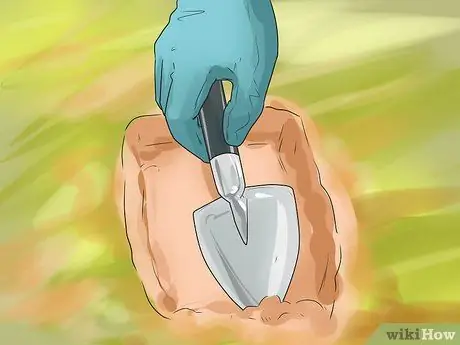 Поймать койота Шаг 8