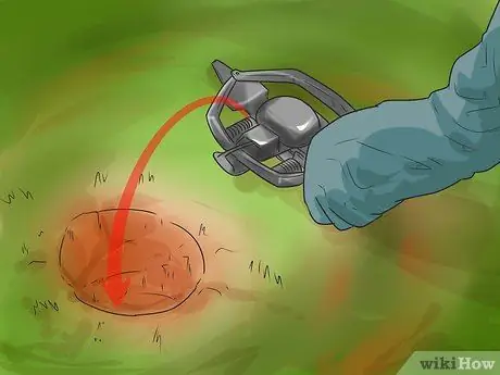 Поймать койота Шаг 9