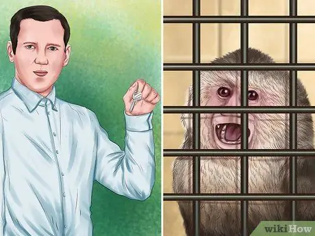 Победи обезьяну-капуцина Шаг 7