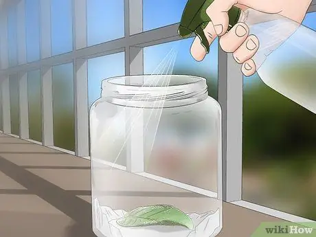 Поймай и подними гусениц-монархов Шаг 5