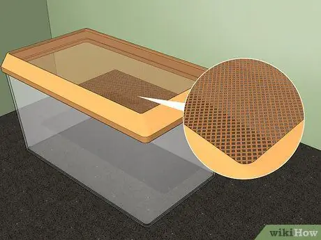 Поймать и поднять гусениц-монархов Шаг 7