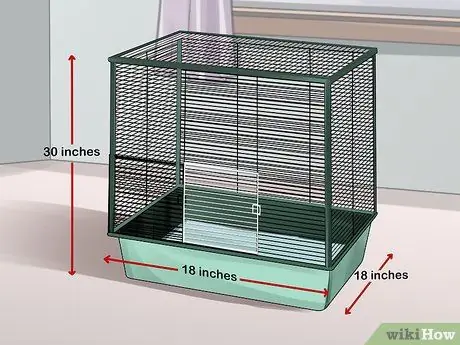 Уход за хорьком Шаг 1