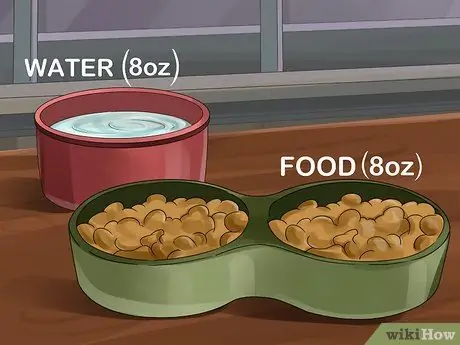 Уход за хорьком Шаг 5