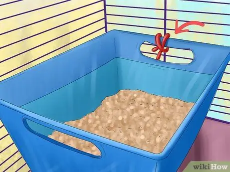 Помет приручите хорька Шаг 10