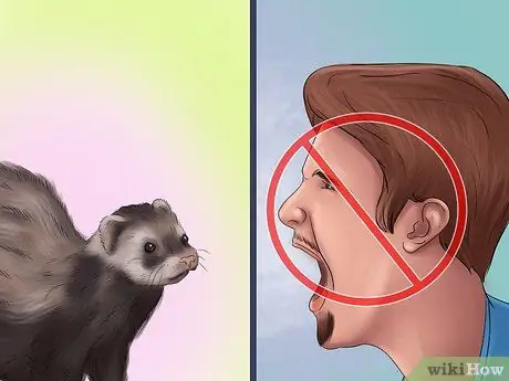 Помет приручите хорька Шаг 12