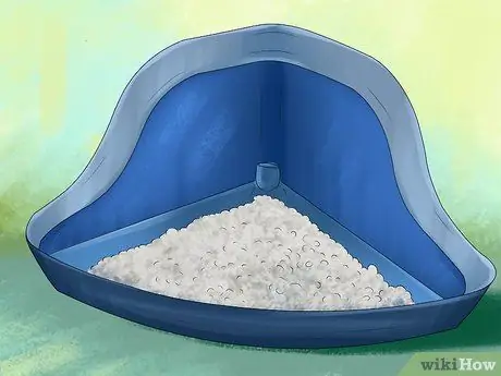 Помет приручите хорька Шаг 2