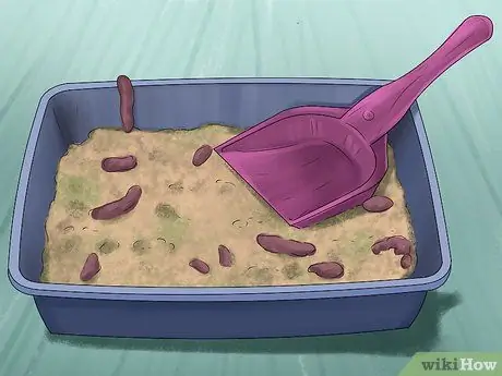 Помет приручите хорька Шаг 4