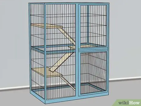 Держите одинокого хорька счастливым Шаг 11