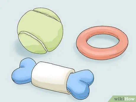 Держите одинокого хорька счастливым Шаг 4