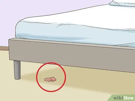 Держите одинокого хорька счастливым Шаг 5