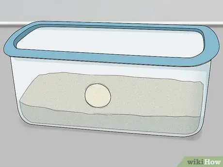 Держите одинокого хорька счастливым Шаг 6