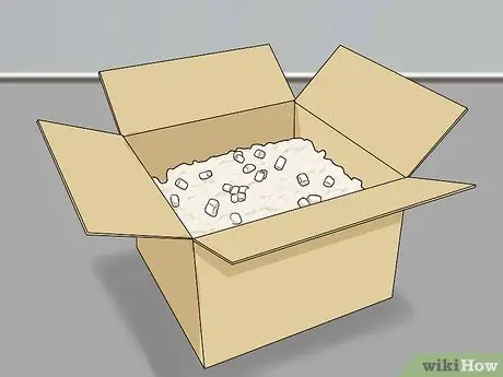 Держите одинокого хорька счастливым Шаг 8