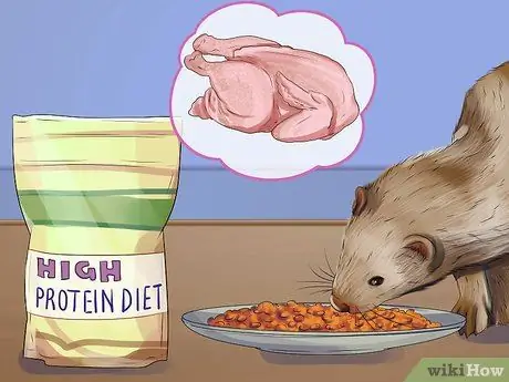 Уменьшение запаха хорька Шаг 11