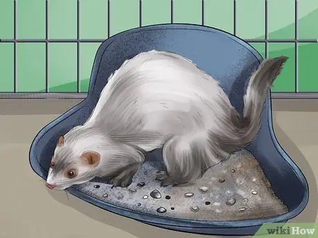 Уменьшение запаха хорька Шаг 5