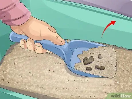 Уменьшение запаха хорька Шаг 6