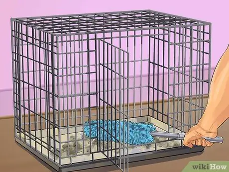 Уменьшение запаха хорька Шаг 7