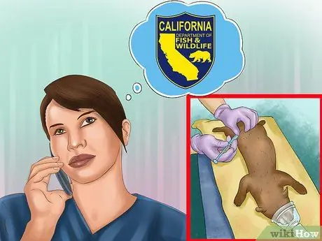 Путешествие с хорьком Шаг 1