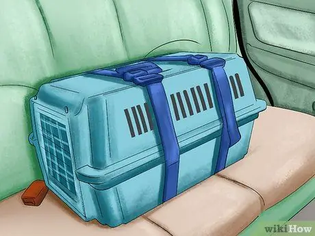 Путешествие с хорьком Шаг 10