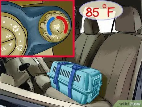 Путешествие с хорьком Шаг 11