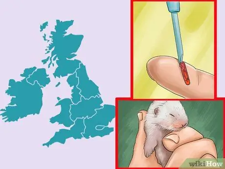 Путешествие с хорьком Шаг 3