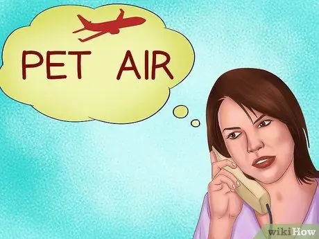 Путешествие с хорьком Шаг 4