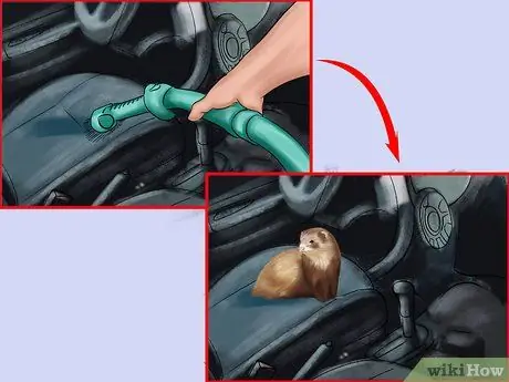 Путешествие с хорьком Шаг 5