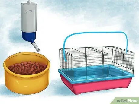 Путешествие с хорьком Шаг 7