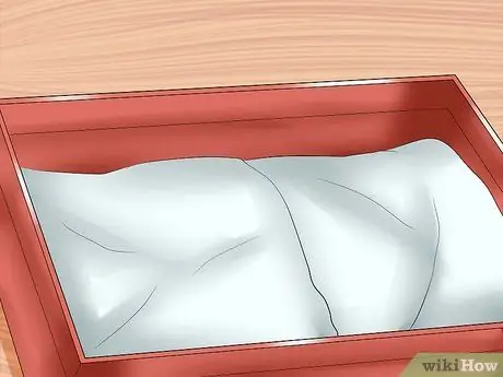 Вывести домашнего хорька Шаг 10