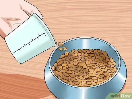 Вывести домашнего хорька Шаг 5