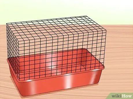 Вывести домашнего хорька Шаг 7