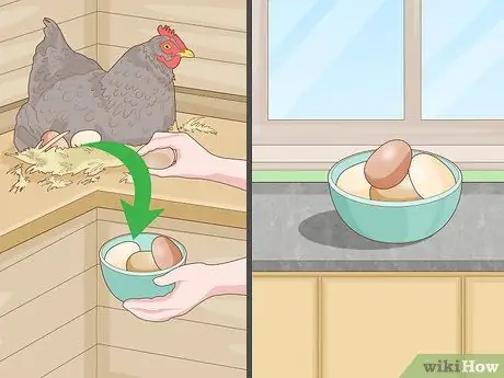 Держите кур в городе Шаг 10