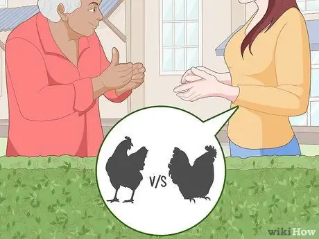 Держите кур в городе Шаг 12