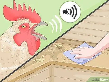 Держите кур в городе Шаг 13