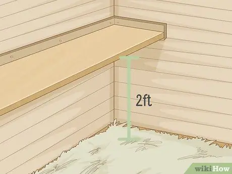 Держите кур в городе Шаг 3