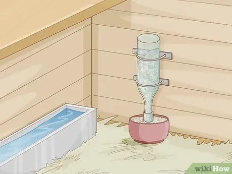 Держите кур в городе Шаг 5