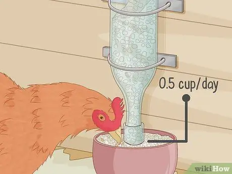 Держите кур в городе Шаг 6