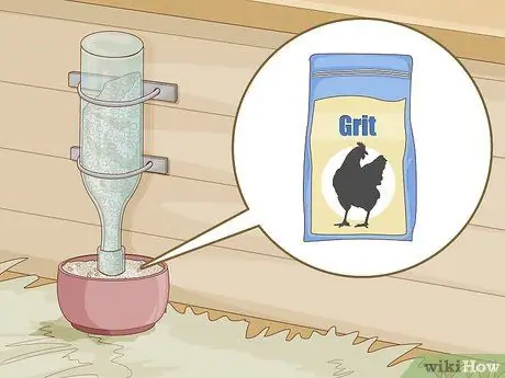 Держите кур в городе Шаг 7