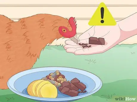 Держите кур в городе Шаг 8