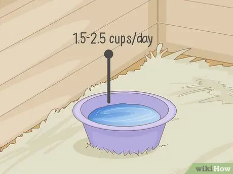 Держите кур в городе Шаг 9