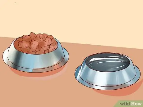 Люби свою собаку Шаг 8