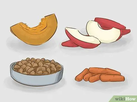 Держите вашу собаку счастливой Шаг 8