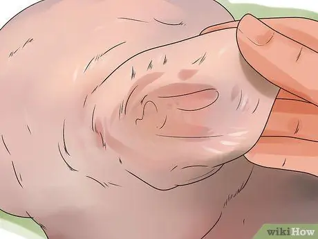 Проверьте, здорова ли и счастлива ваша собака Шаг 11