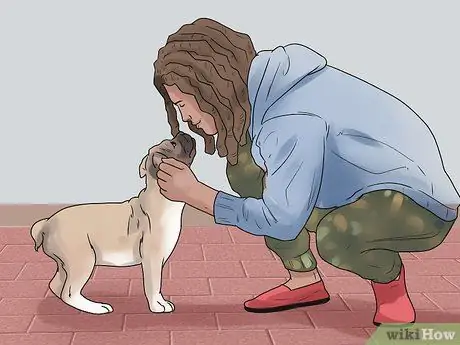 Проверьте, здорова ли и счастлива ваша собака Шаг 5