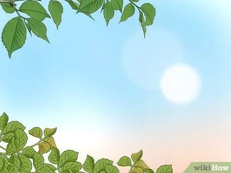 Поймай божьих коровок, шаг 1