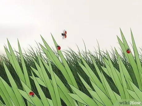 Поймай божьих коровок, шаг 2